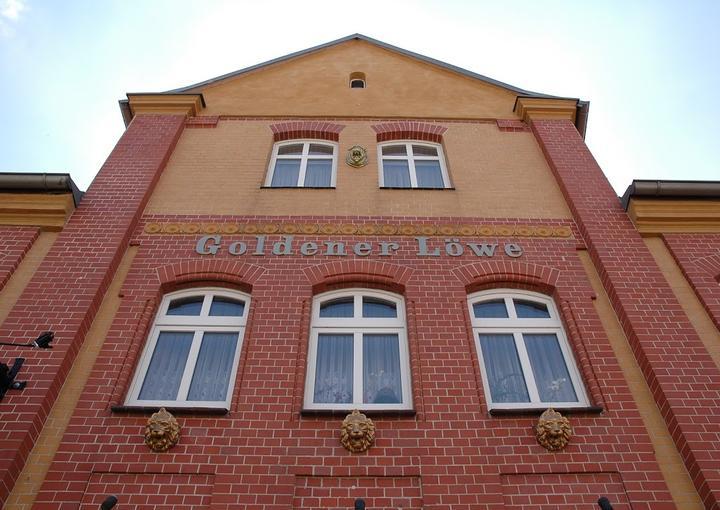 Goldener Lowe